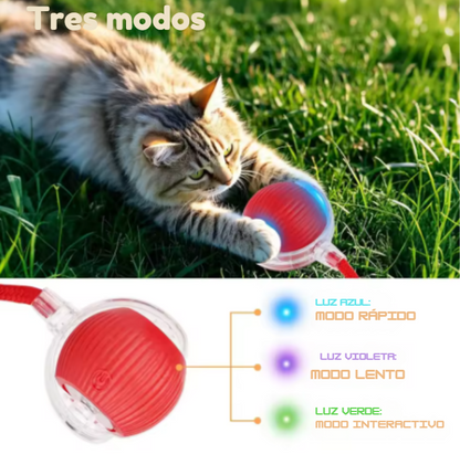 Bola Interactiva Rodante