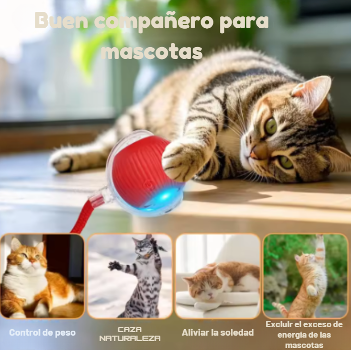Bola Interactiva Rodante